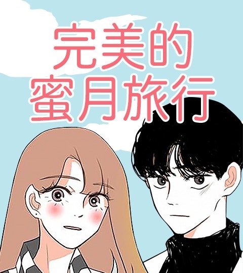 完美的蜜月旅行封面